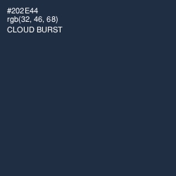 #202E44 - Cloud Burst Color Image